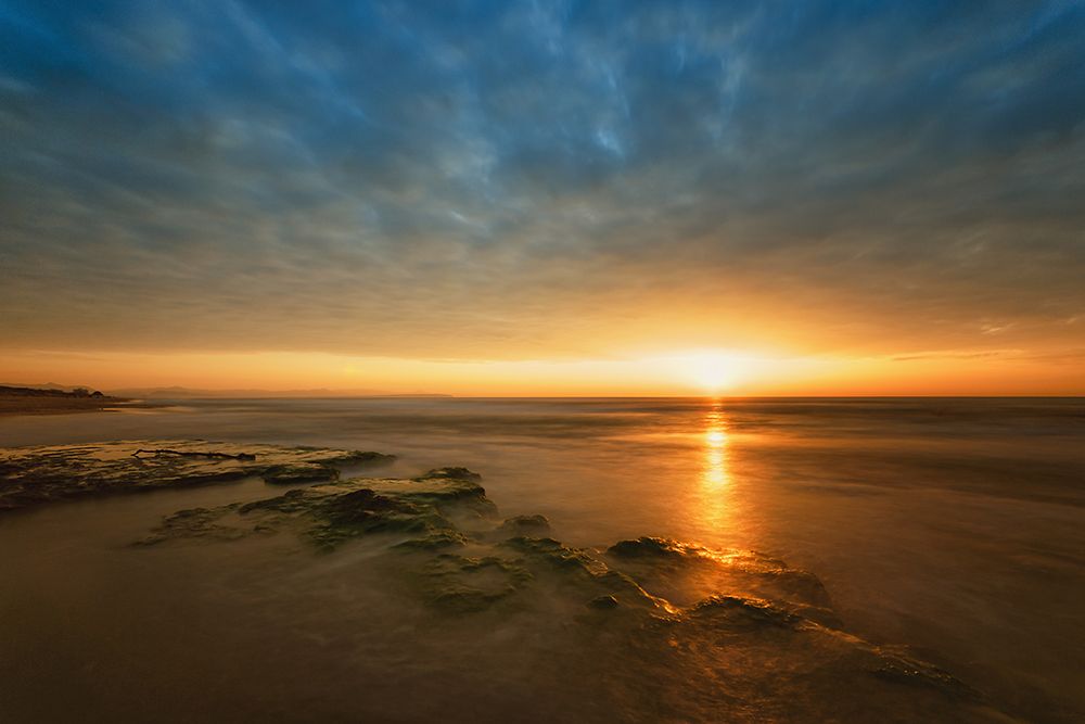 Morning Sun art print by Piotr Krol for $57.95 CAD