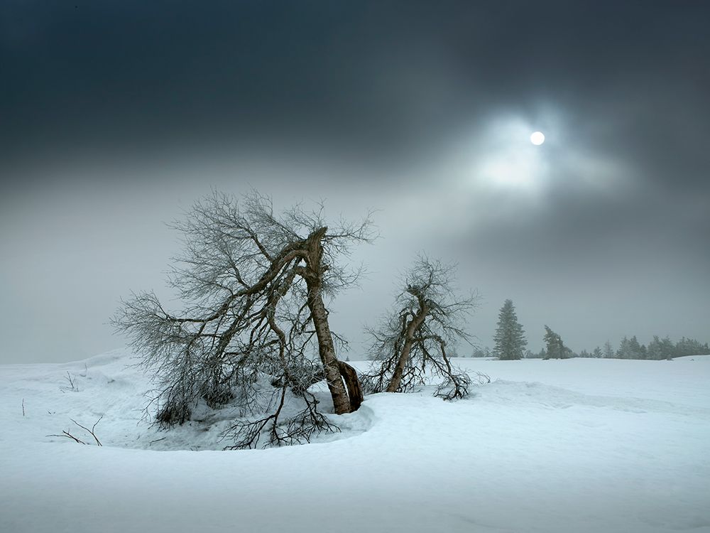 last days of winter art print by Nicolas Schumacher for $57.95 CAD