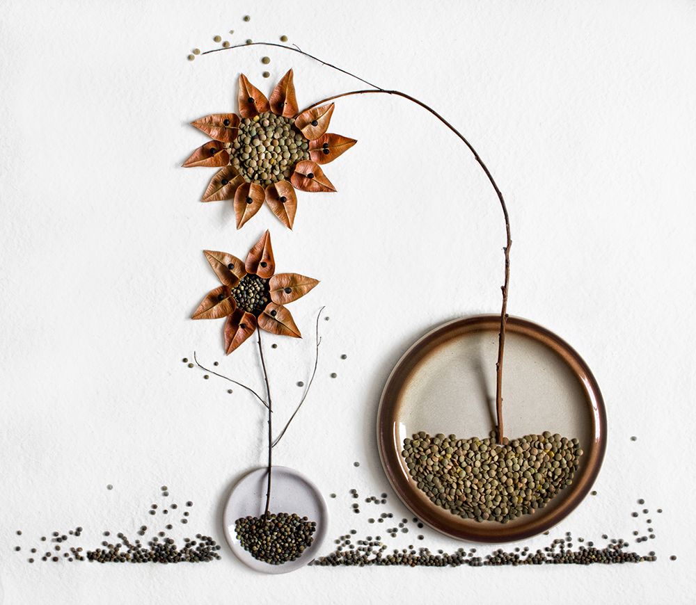 Herbarium...2 art print by Dimitar Lazarov for $57.95 CAD