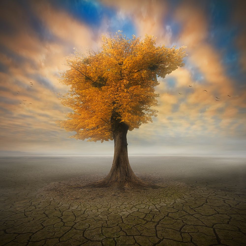 Lonesome art print by Piotr (Bax) Krol for $57.95 CAD