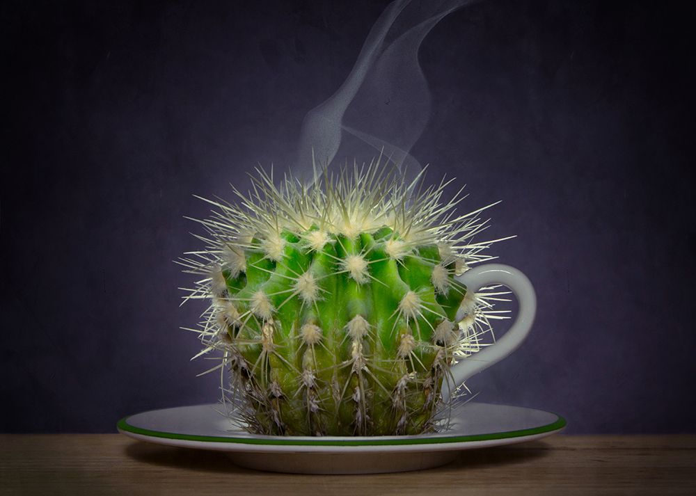 Beware ... hot! art print by Wieteke de Kogel for $57.95 CAD