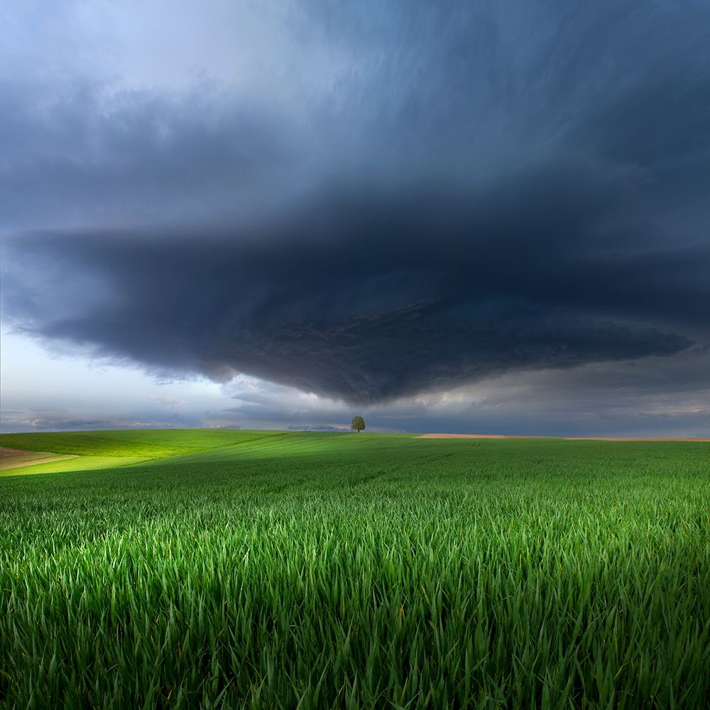 Thunderstorm Cell Over The Alb Plateau art print by Nicolas Schumacher for $57.95 CAD
