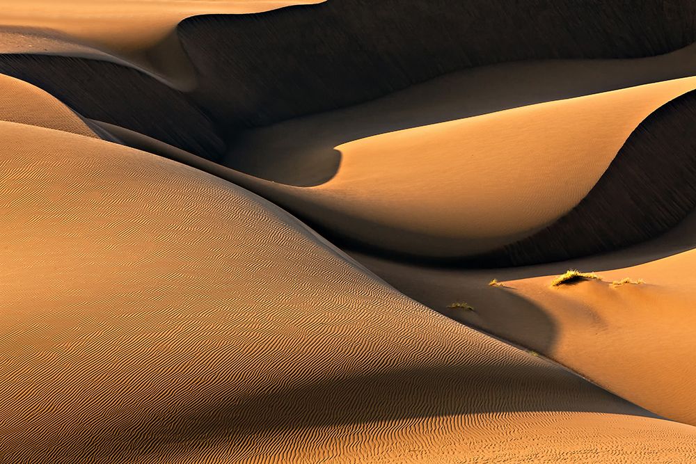 Golden Land art print by Mohammadreza Momeni for $57.95 CAD