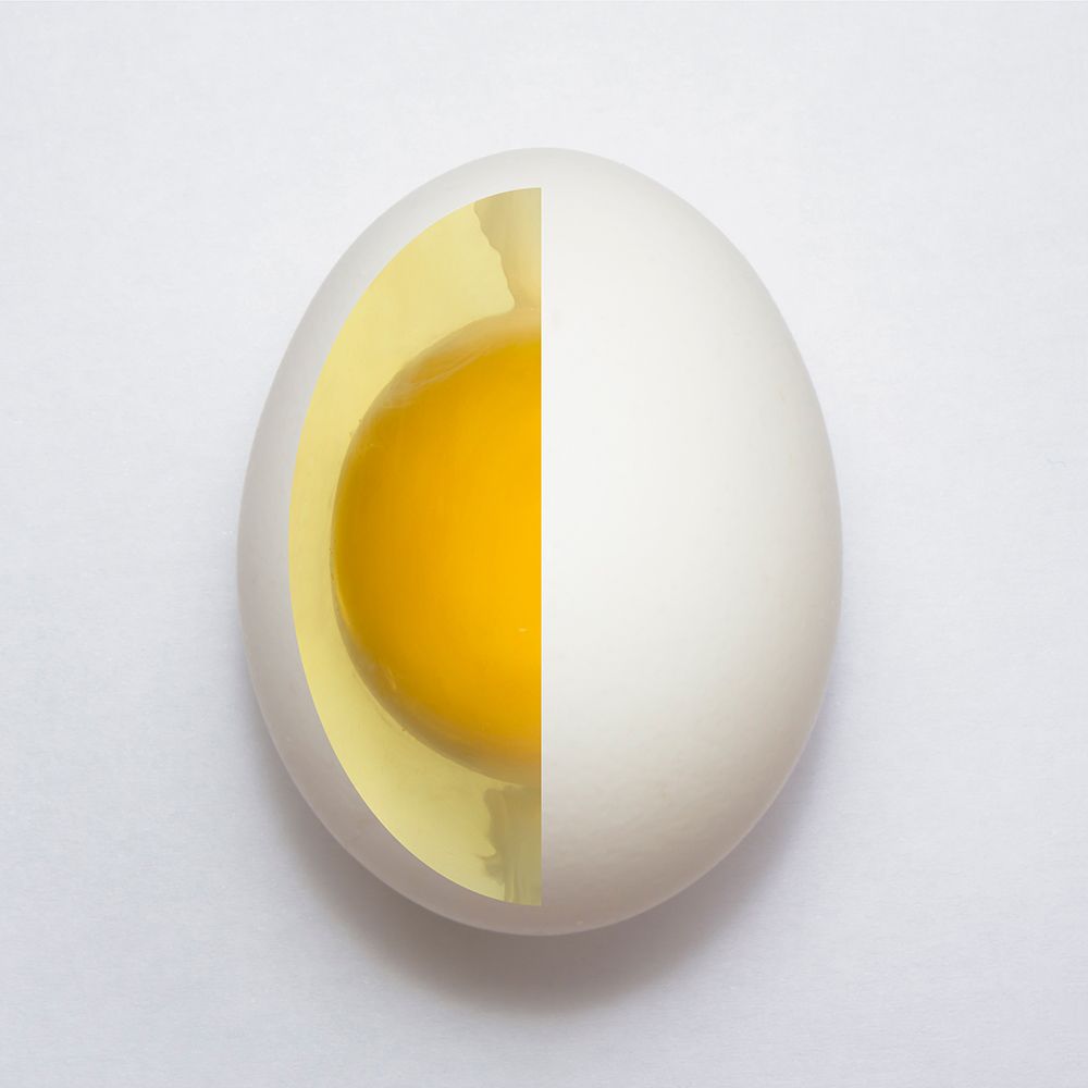 Inner Egg art print by Adelino Alves for $57.95 CAD