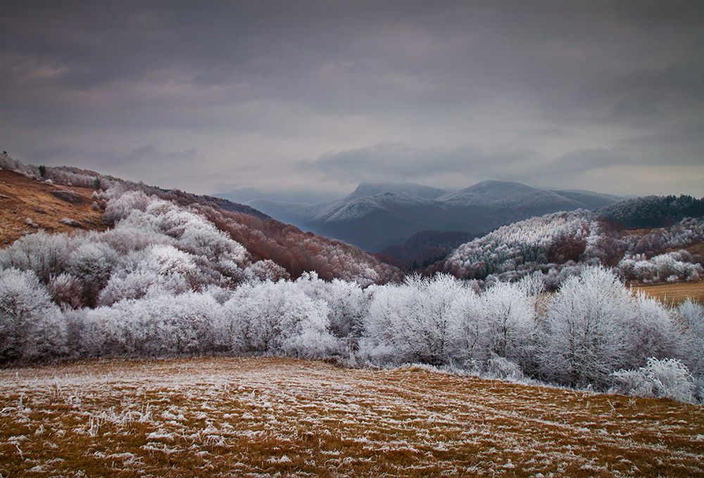 Frosty breath art print by Peter Svoboda for $57.95 CAD