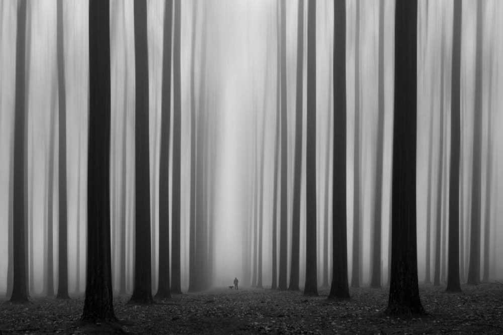 Labyrinth art print by Jochen Bongaerts for $57.95 CAD