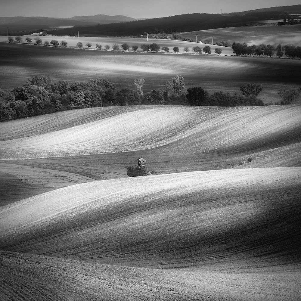 Moravian fields art print by Piotr Krol for $57.95 CAD