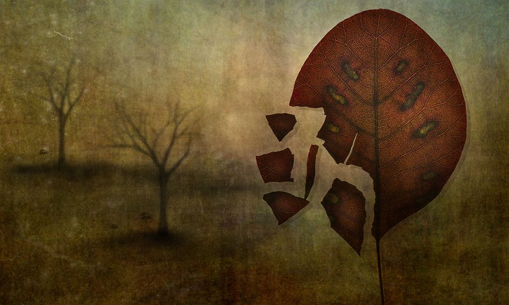 Autumn art print by Lotte Andersen for $57.95 CAD