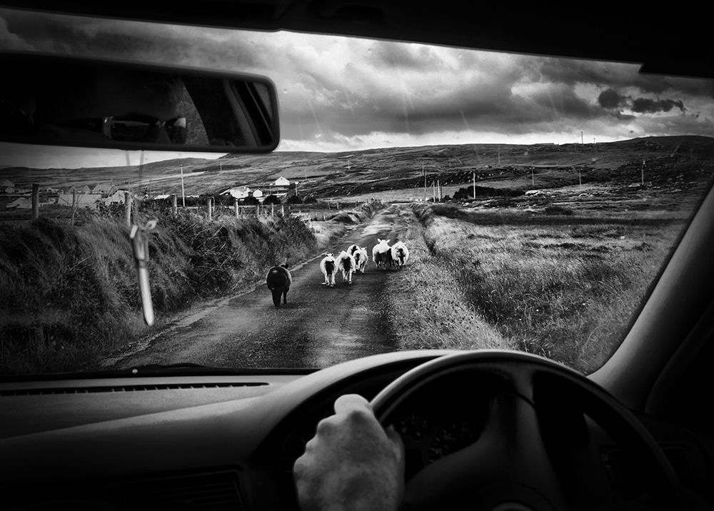 traffic jam in ireland art print by Richard Bires for $57.95 CAD