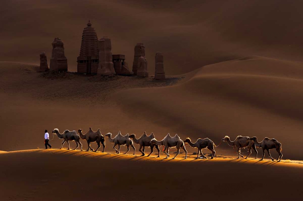 Castle And Camels art print by Mei Xu for $57.95 CAD