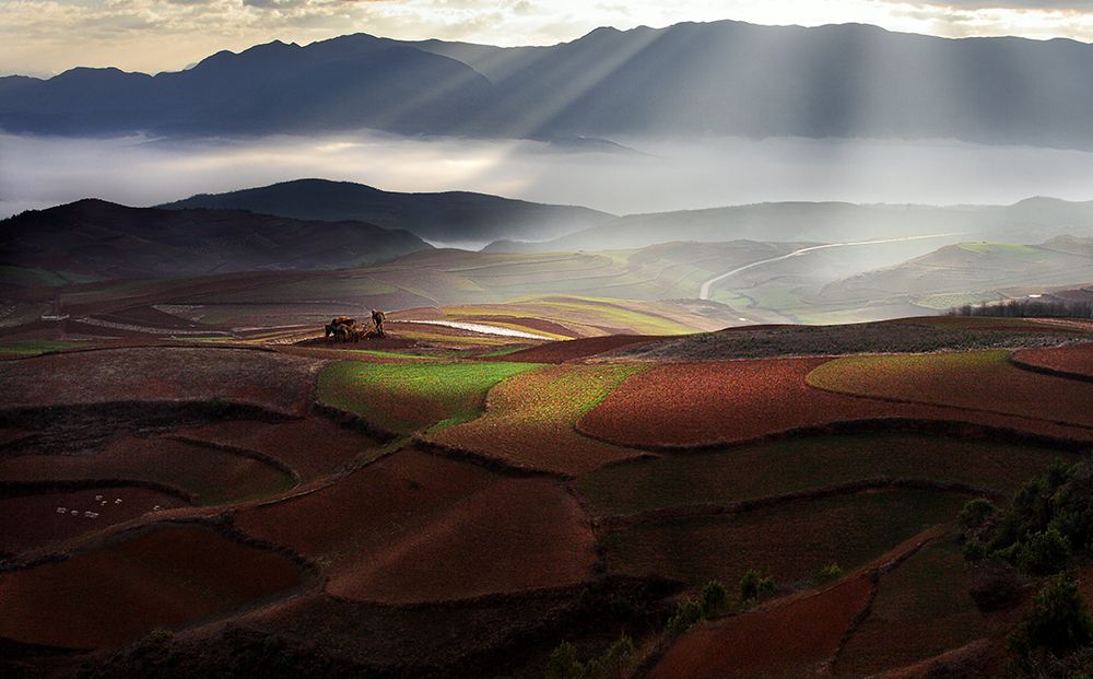 Early Spring On Red Land art print by BJ Yang for $57.95 CAD