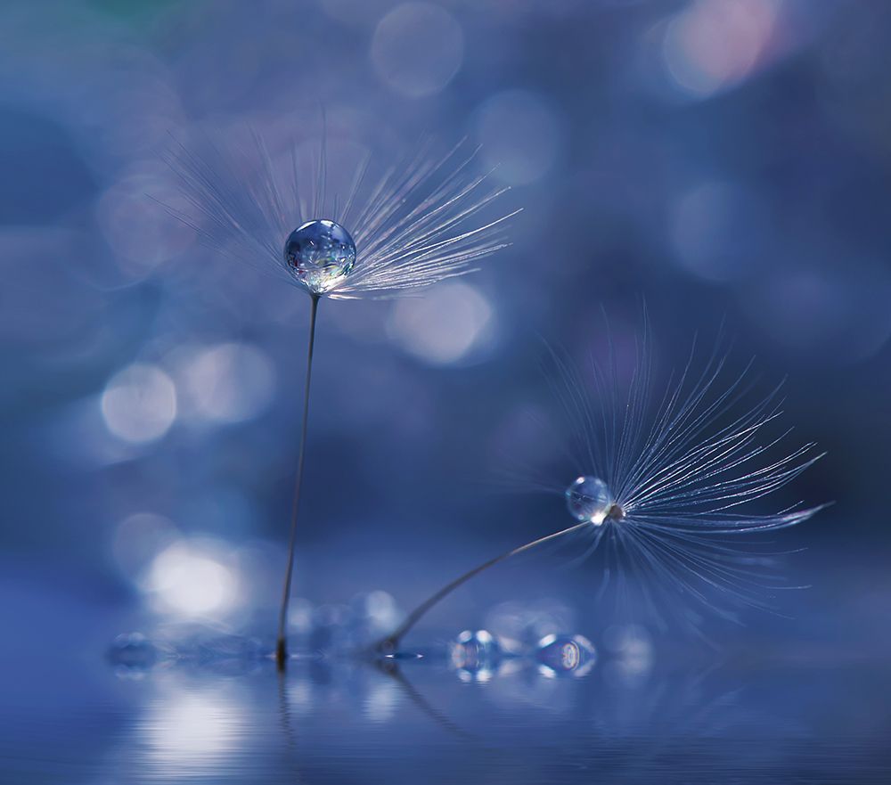 Prism of Life... art print by Juliana Nan for $57.95 CAD