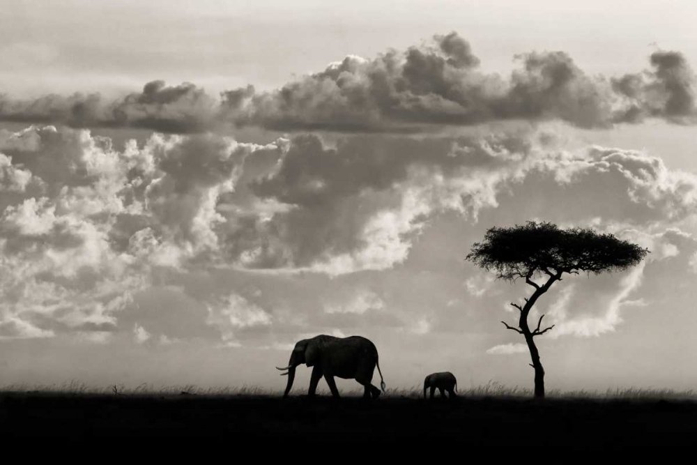 Silhouettes Of Mara art print by Mario Moreno for $57.95 CAD
