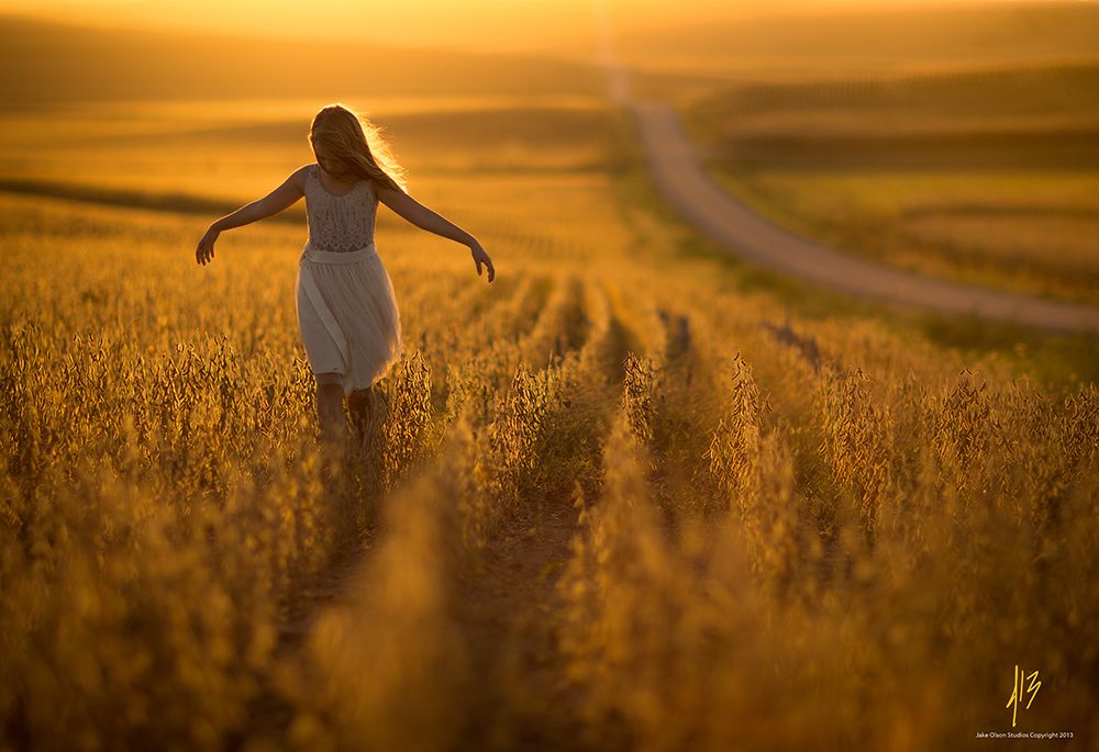 Nebraska art print by Jake Olson for $57.95 CAD