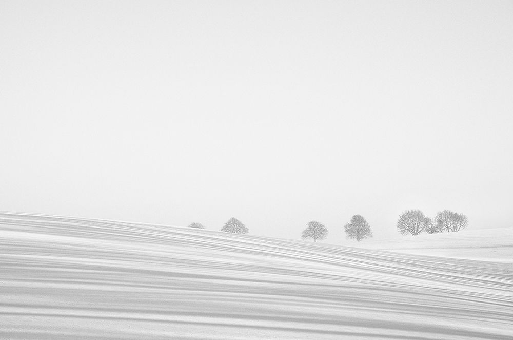 Snowlines art print by Lou Urlings for $57.95 CAD