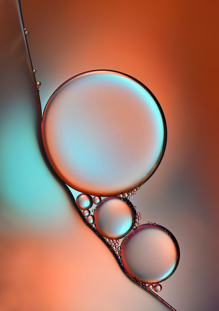 Glimmer art print by Heidi Westum for $57.95 CAD