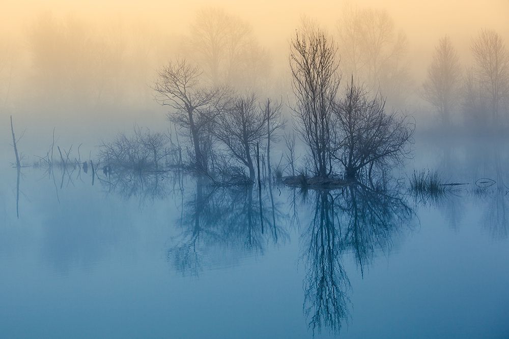 Morning Reflection art print by David Butali for $57.95 CAD