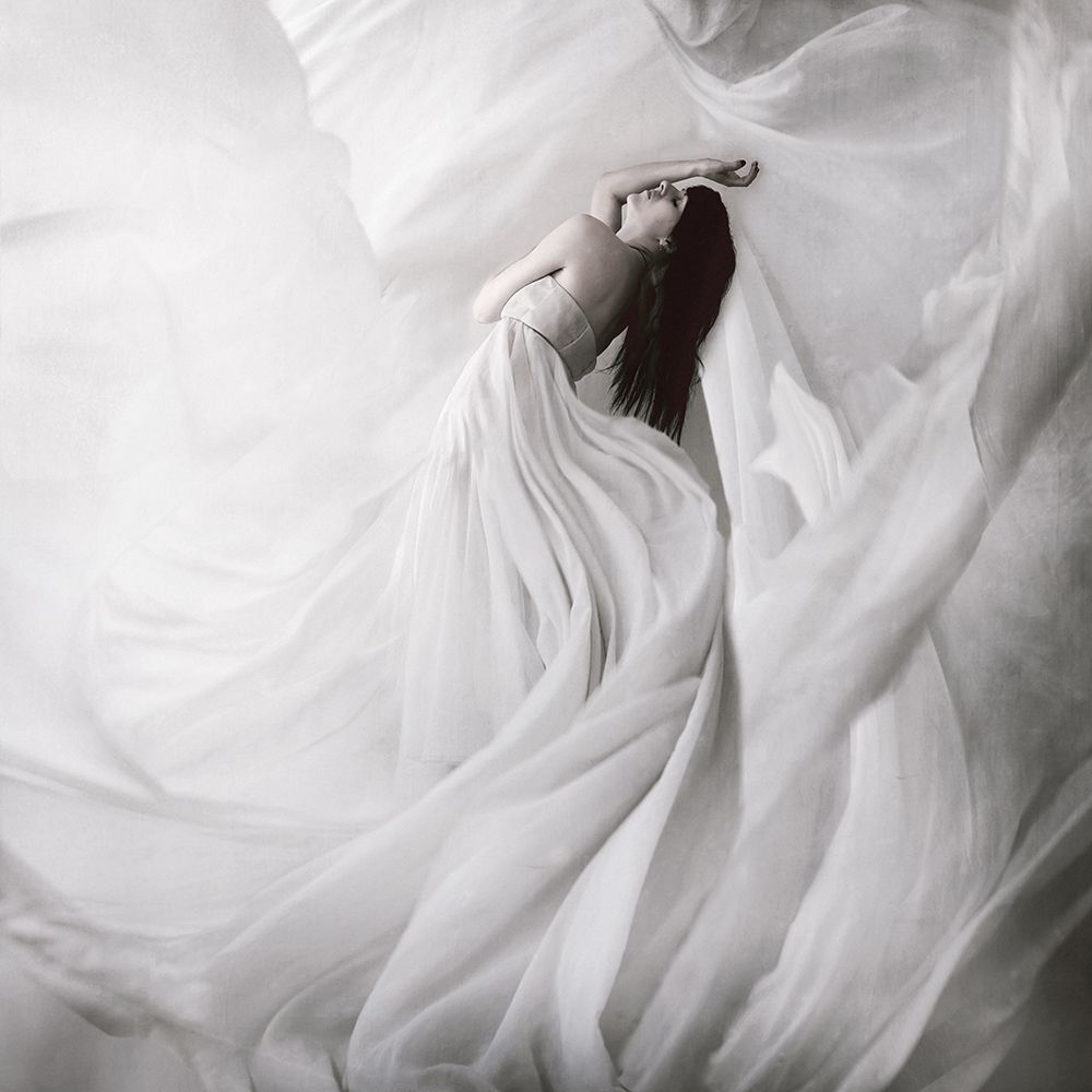 Moondance art print by Anja Matko for $57.95 CAD