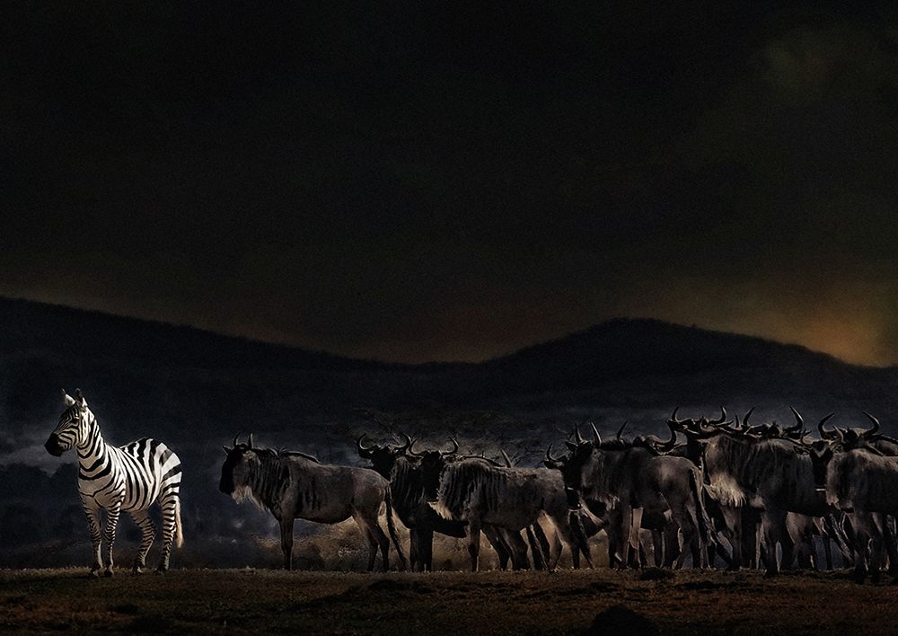 An Evening In Kenya art print by Piet Flour for $57.95 CAD