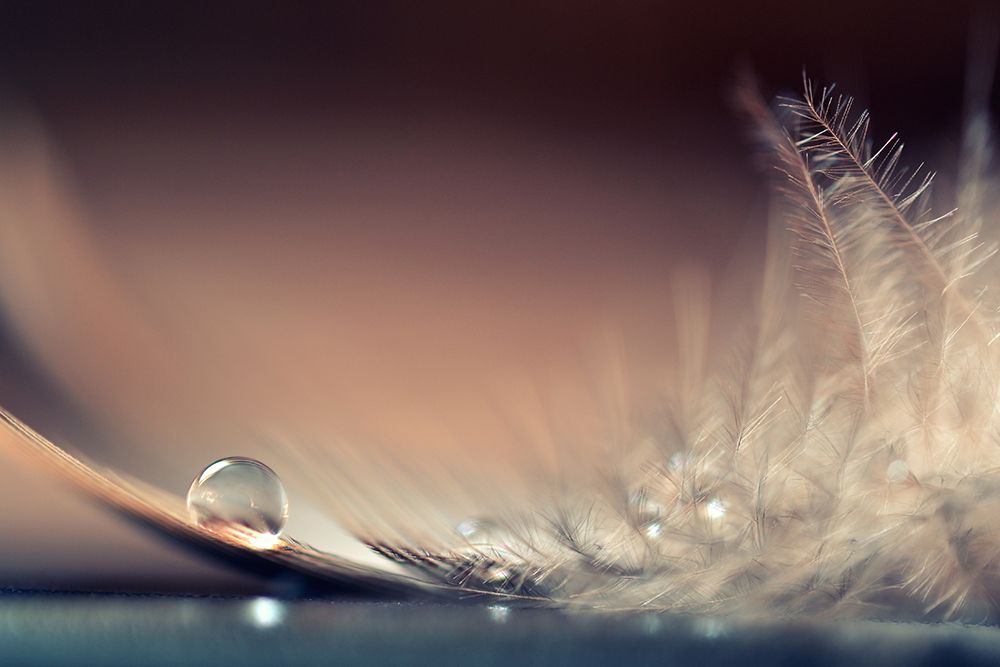 Stories Of Drops art print by Dmitry Doronin for $57.95 CAD