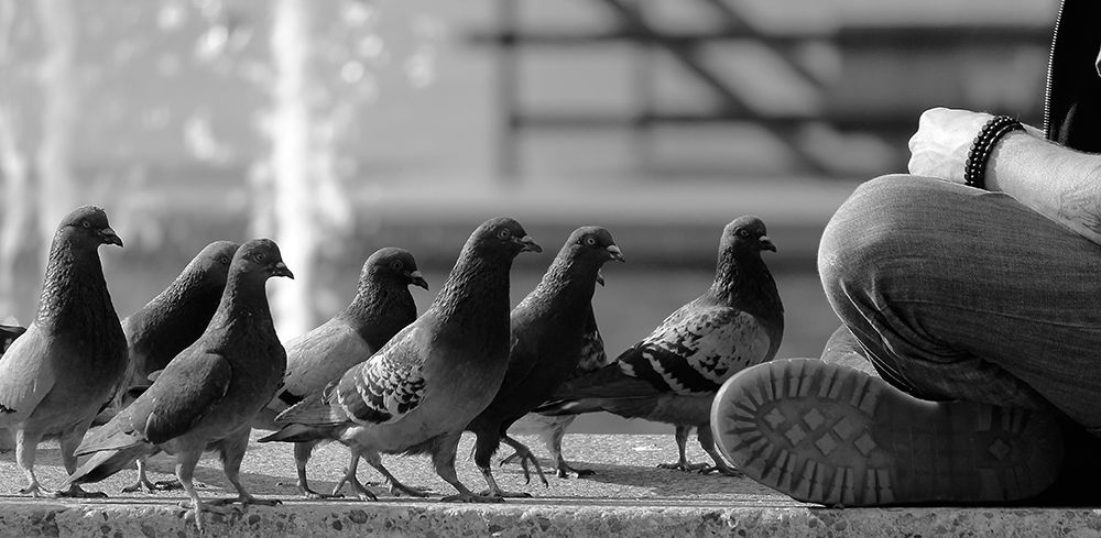 On Line for Food art print by Jian Wang for $57.95 CAD