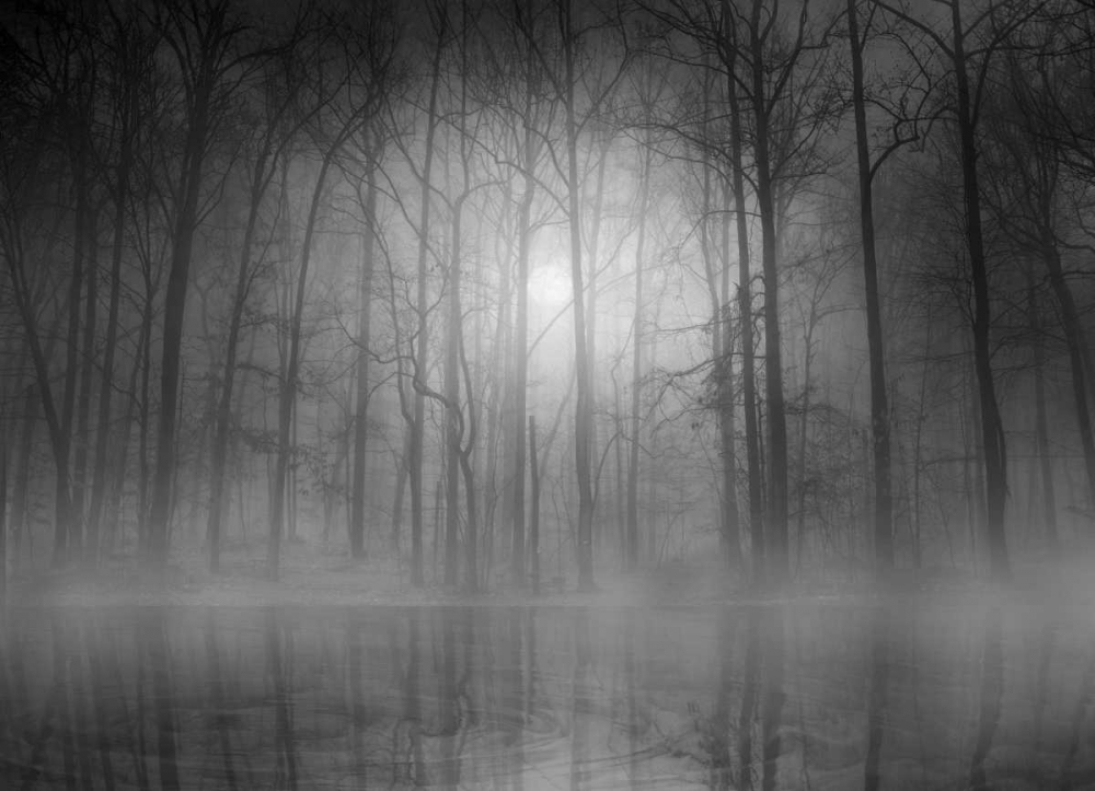 Morning Mist art print by Bethanne Lutz for $57.95 CAD