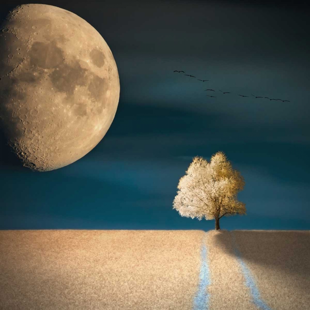 Gmo art print by Piotr (Bax) Krol for $57.95 CAD