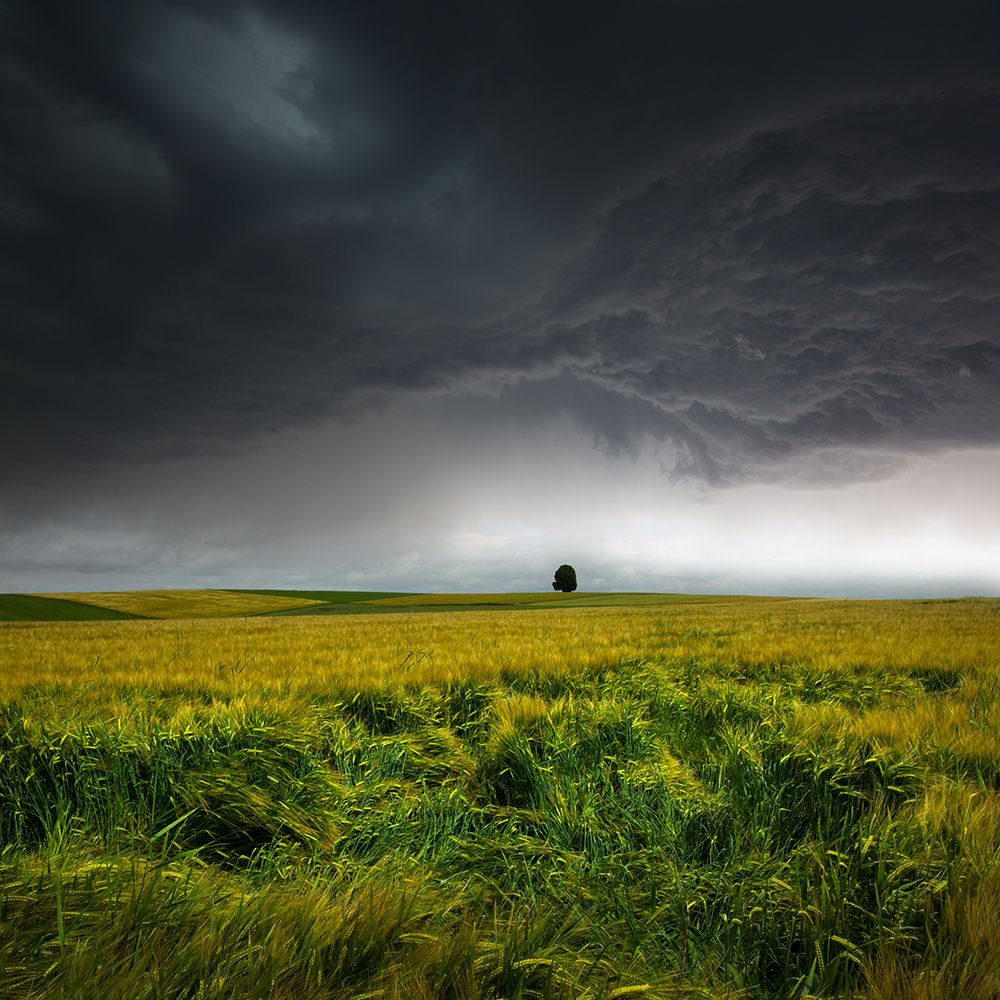 Sommergewitter art print by Nicolas Schumacher for $57.95 CAD