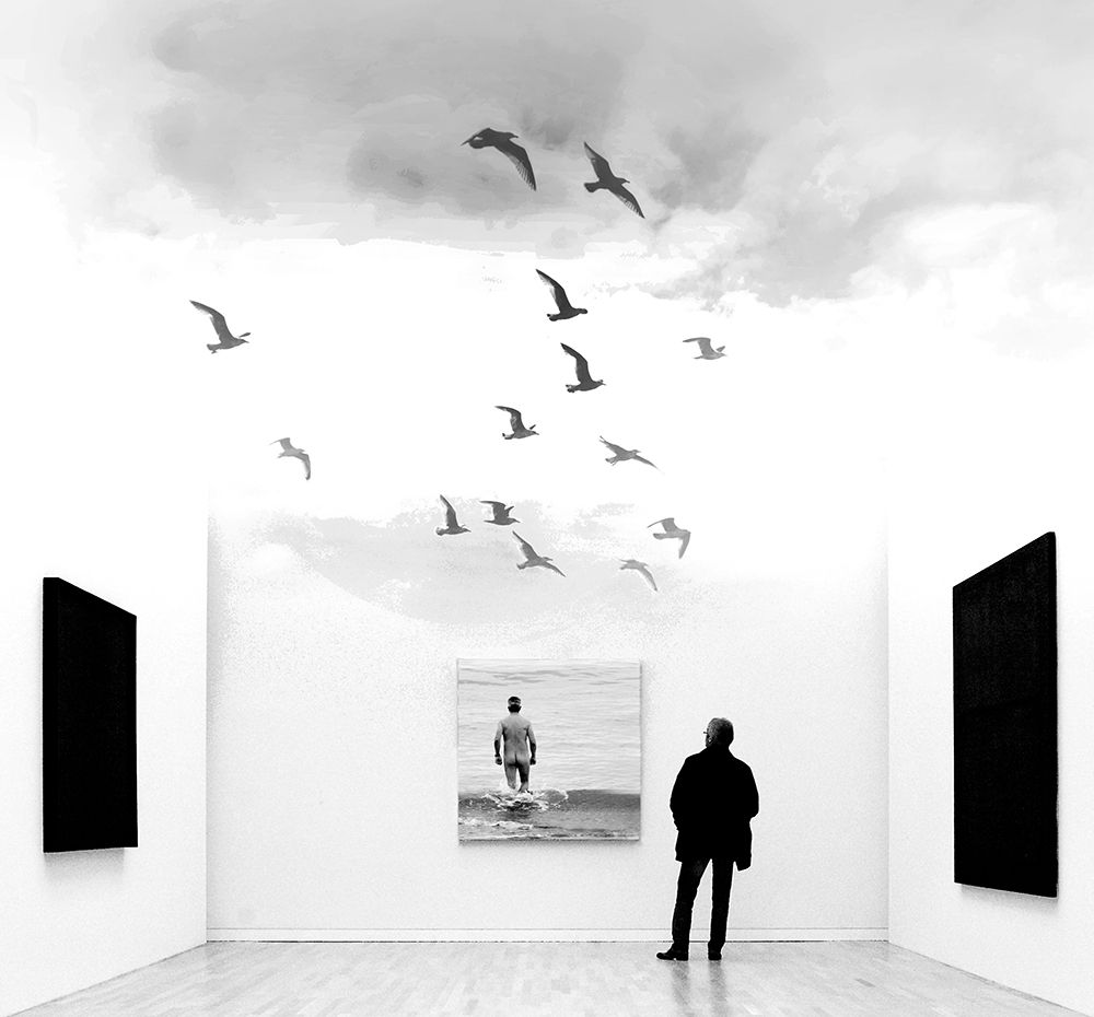 Free as a bird art print by Marc Apers for $57.95 CAD