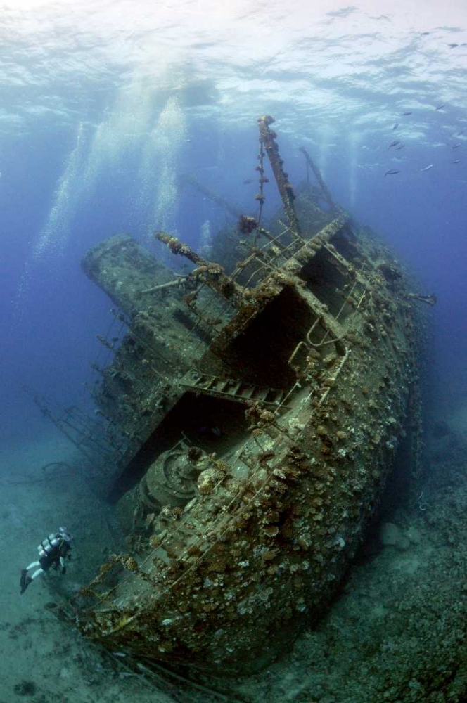 Giannis D Wreck. art print by Dray Van Beeck for $57.95 CAD
