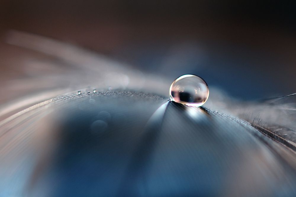 Stories of drops art print by Dmitry Doronin for $57.95 CAD