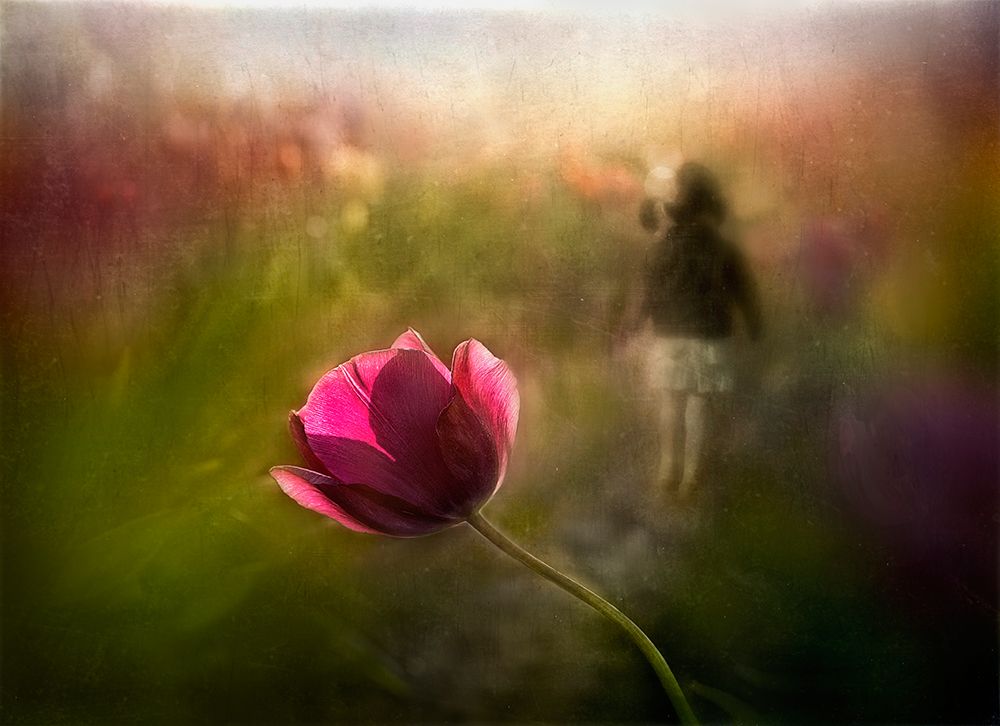 A Pink Childhood Memory art print by Shenshen Dou for $57.95 CAD