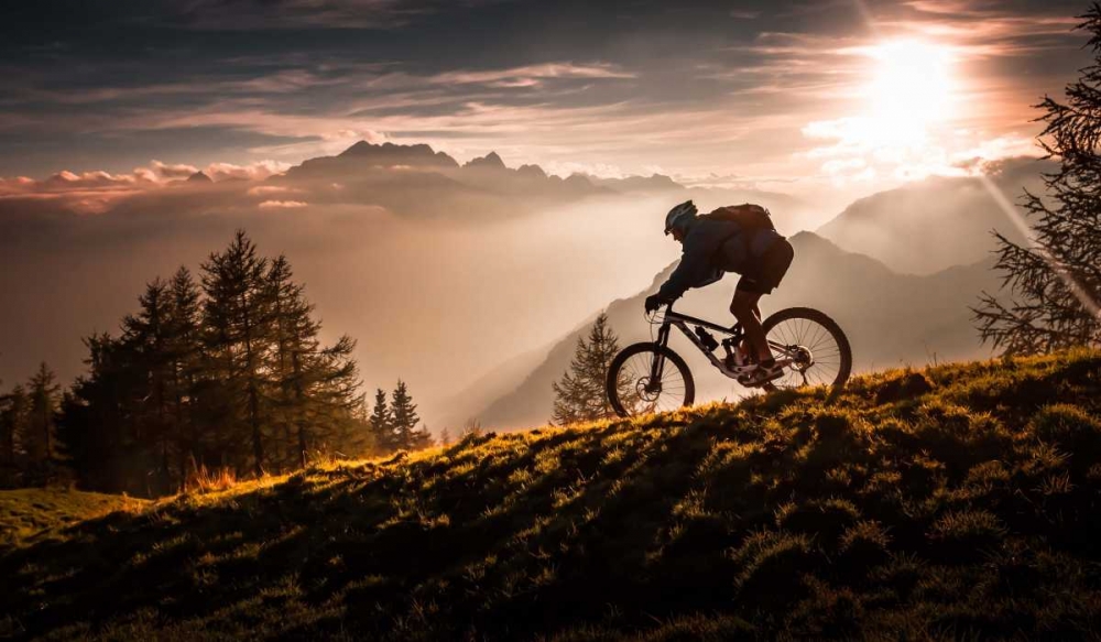 Golden Hour Biking art print by Sandi Bertoncelj for $57.95 CAD