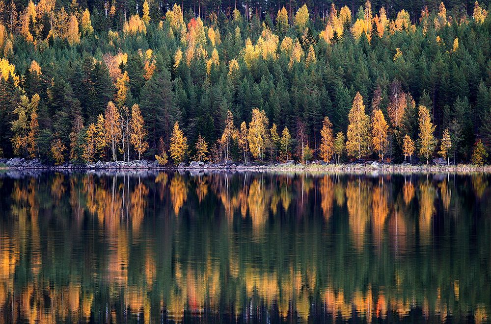 Autumn art print by Bror Johansson for $57.95 CAD
