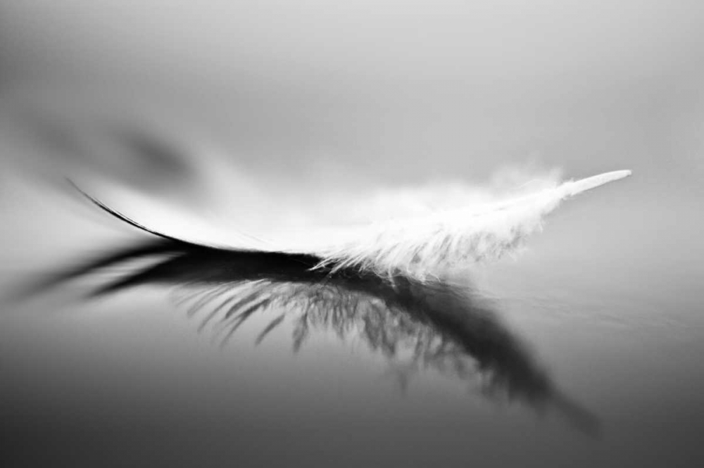 White art print by Olinda Coutinho for $57.95 CAD