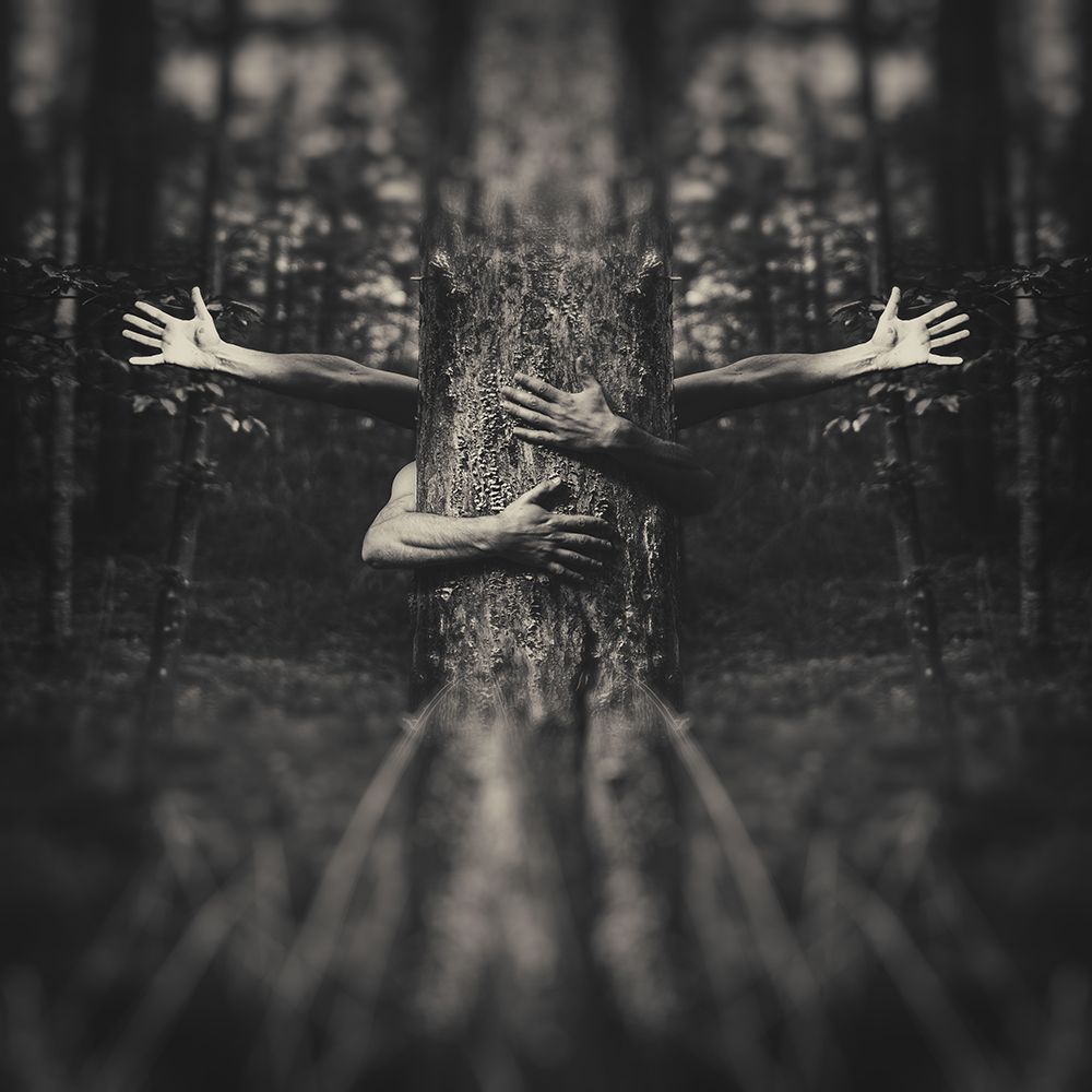 do not break my tree art print by Amir Bajrich for $57.95 CAD
