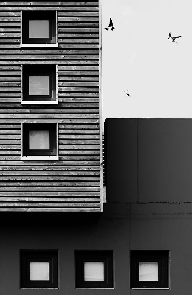 Three art print by Manu D for $57.95 CAD