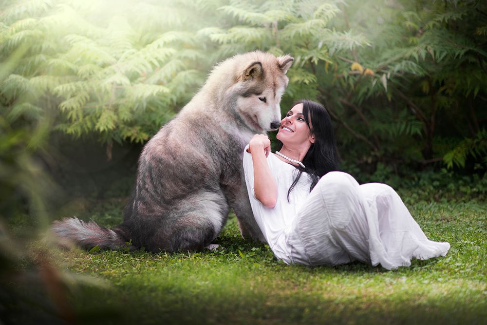 Saved by the wolf art print by Alberto Ghizzi Panizza for $57.95 CAD