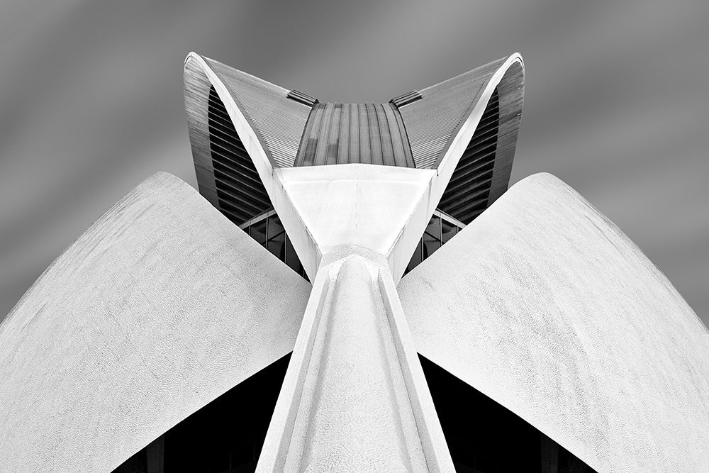 Calatrava art print by Alida Van Zaane for $57.95 CAD