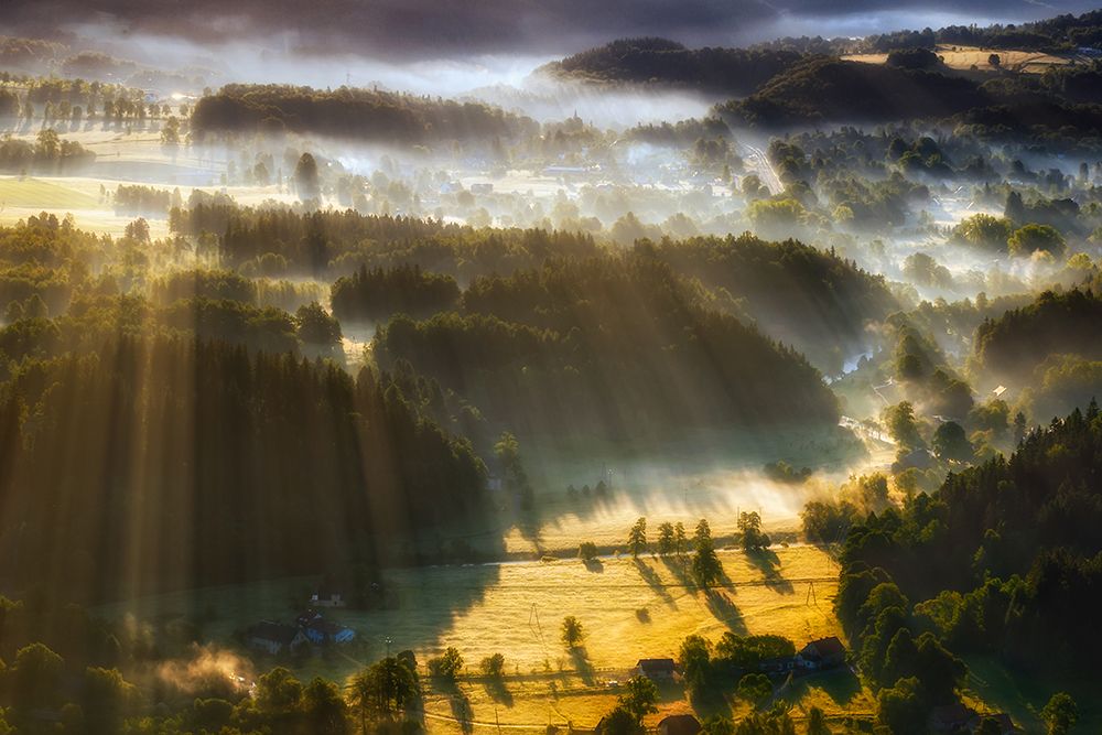 In the Morning Mists art print by Piotr Krol for $57.95 CAD