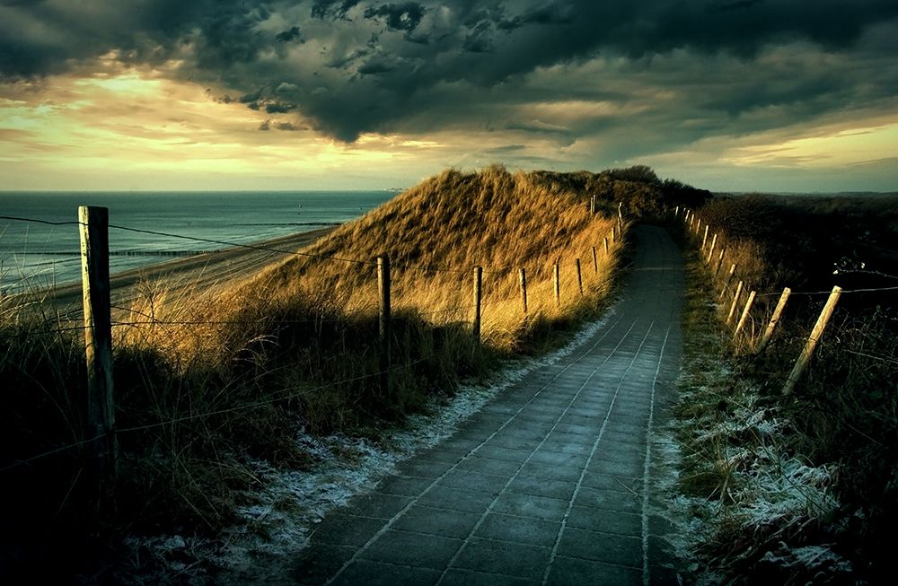 Cold Fence......... art print by Wim Schuurmans for $57.95 CAD