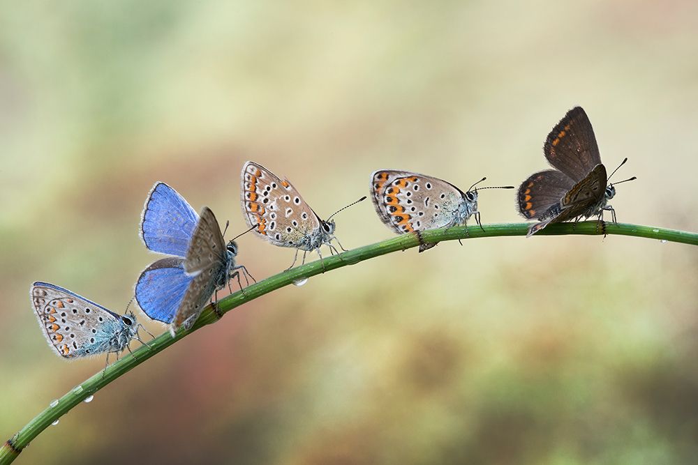 up for take off art print by Alberto Ghizzi Panizza for $57.95 CAD