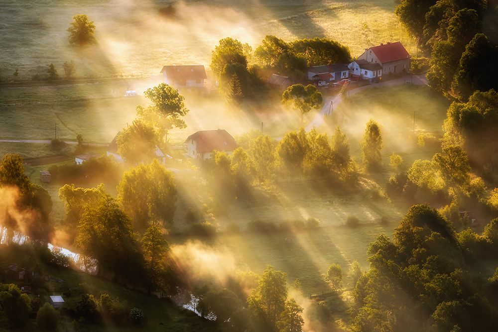 in the morning sun art print by Piotr Krol for $57.95 CAD