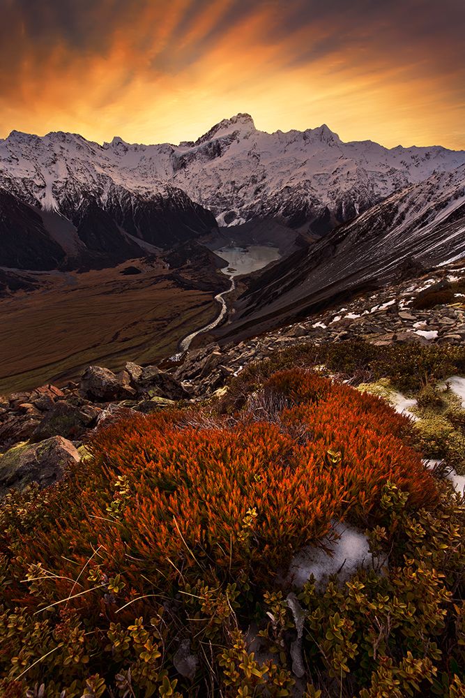Mount Sefton art print by Yan Zhang for $57.95 CAD