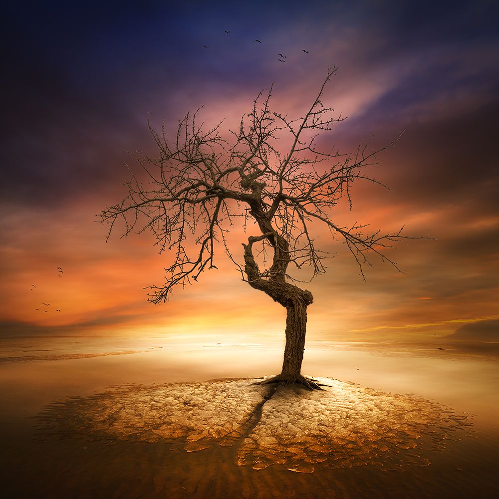 Lonely art print by Piotr (Bax) Krol for $57.95 CAD