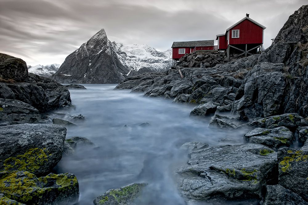 Living Norway art print by Liloni Luca for $57.95 CAD