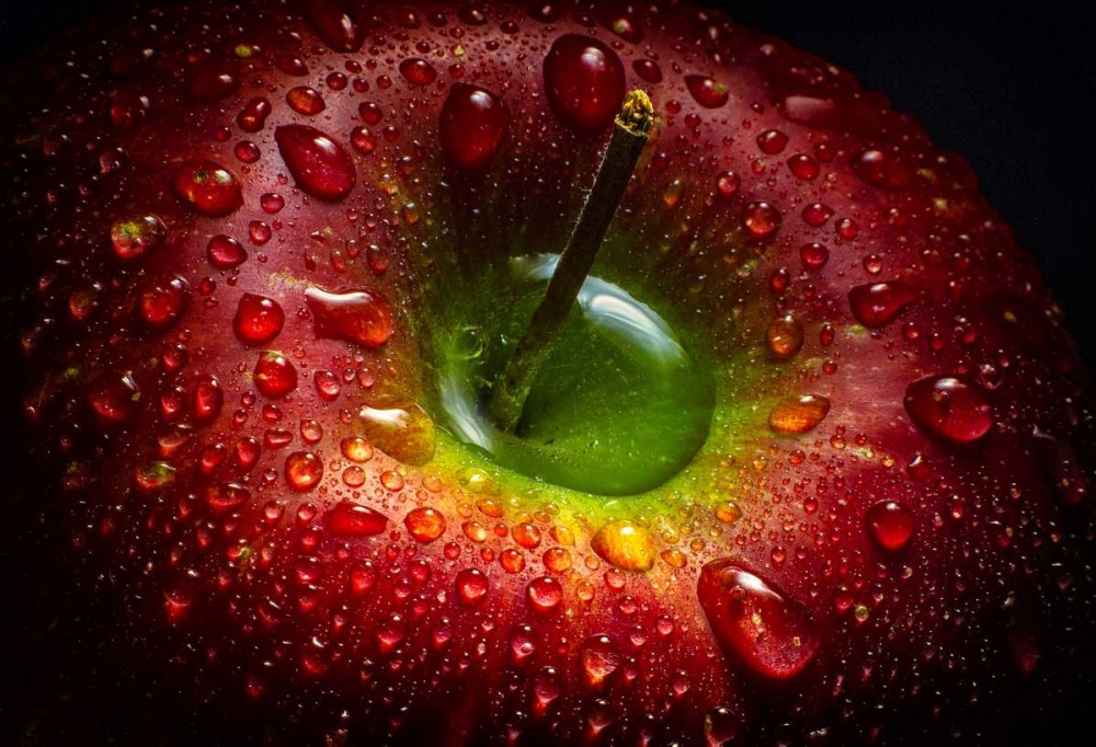 Red Apple art print by Aida Ianeva for $57.95 CAD
