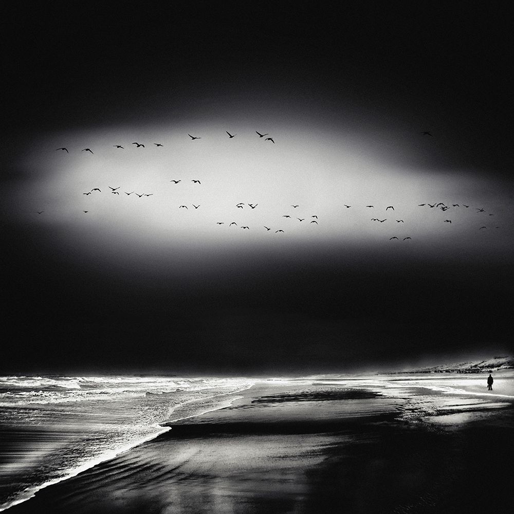 the song of the wet sands art print by Piet Flour for $57.95 CAD