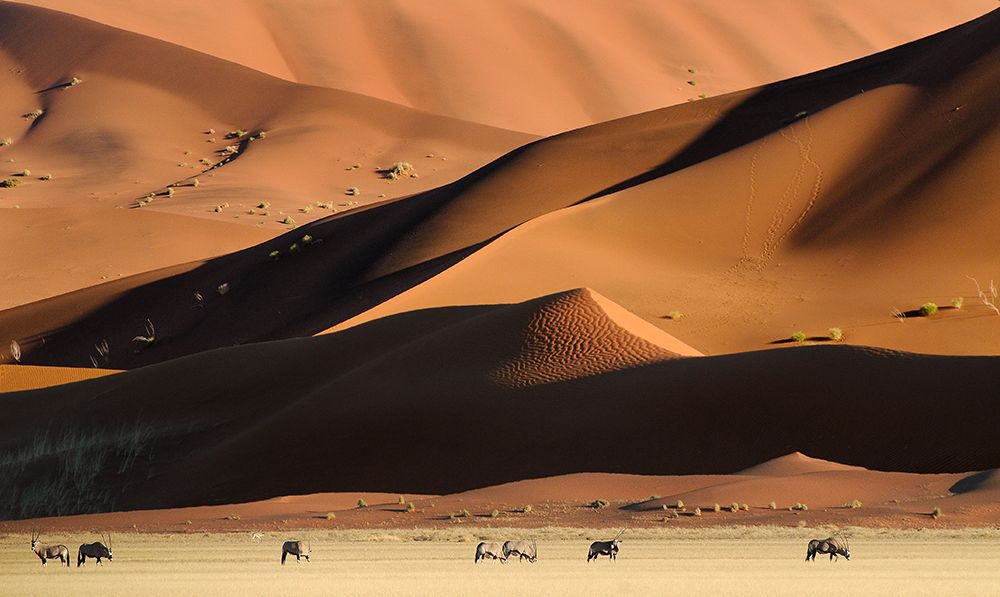 Namib Dunes art print by Muriel Vekemans for $57.95 CAD