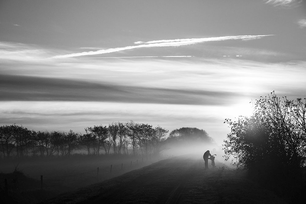 Terschelling art print by Liesbeth van der for $57.95 CAD